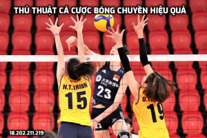 Tiết lộ các thủ thuật cá cược bóng chuyền hiệu quả