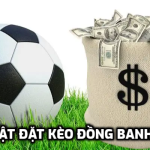 Thủ thuật đặt kèo đồng banh tại W88