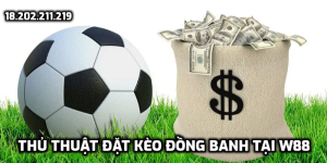 Thủ thuật đặt kèo đồng banh tại W88